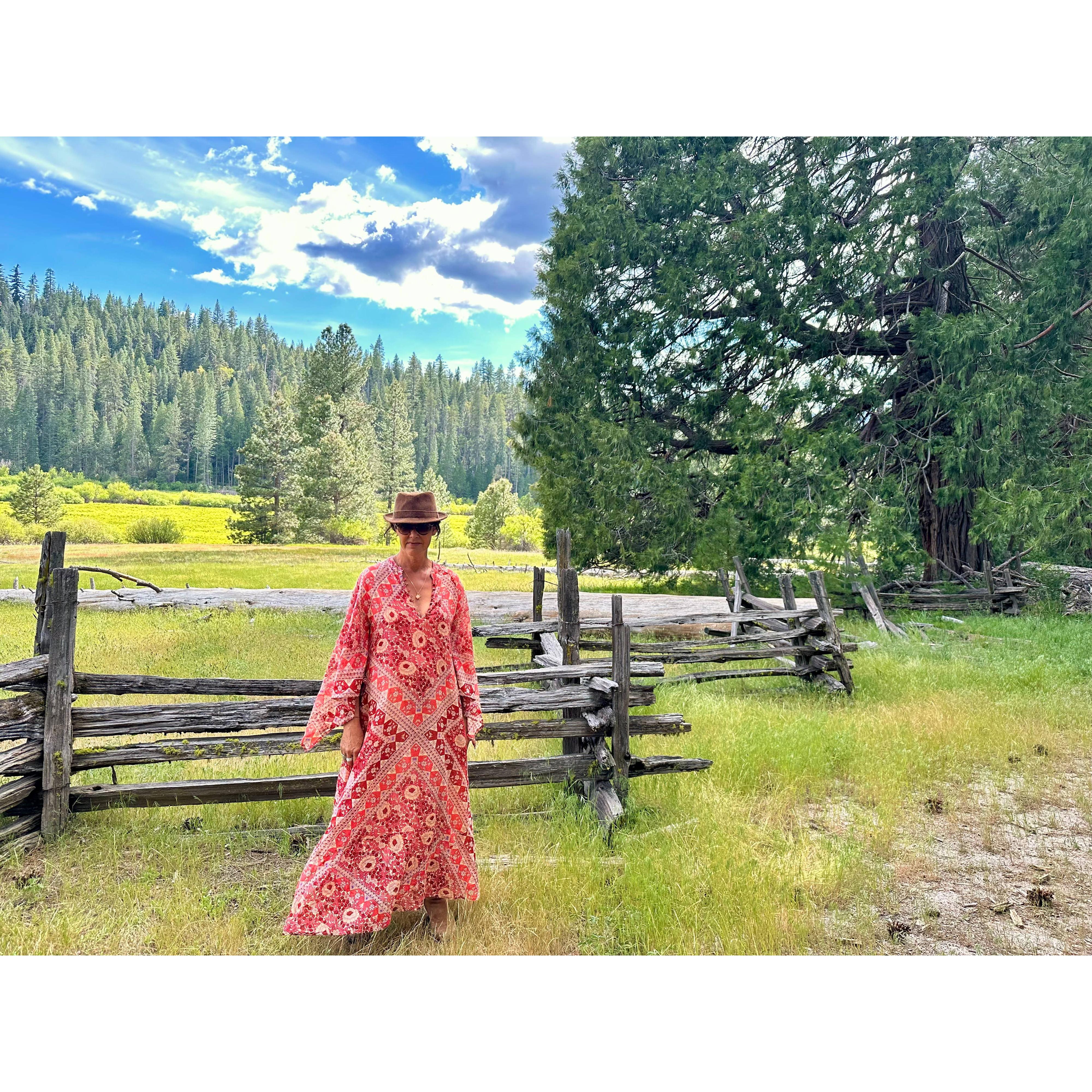 Audrey Printed Maxi Dress Butterfly Sleeves Red - Image 6
