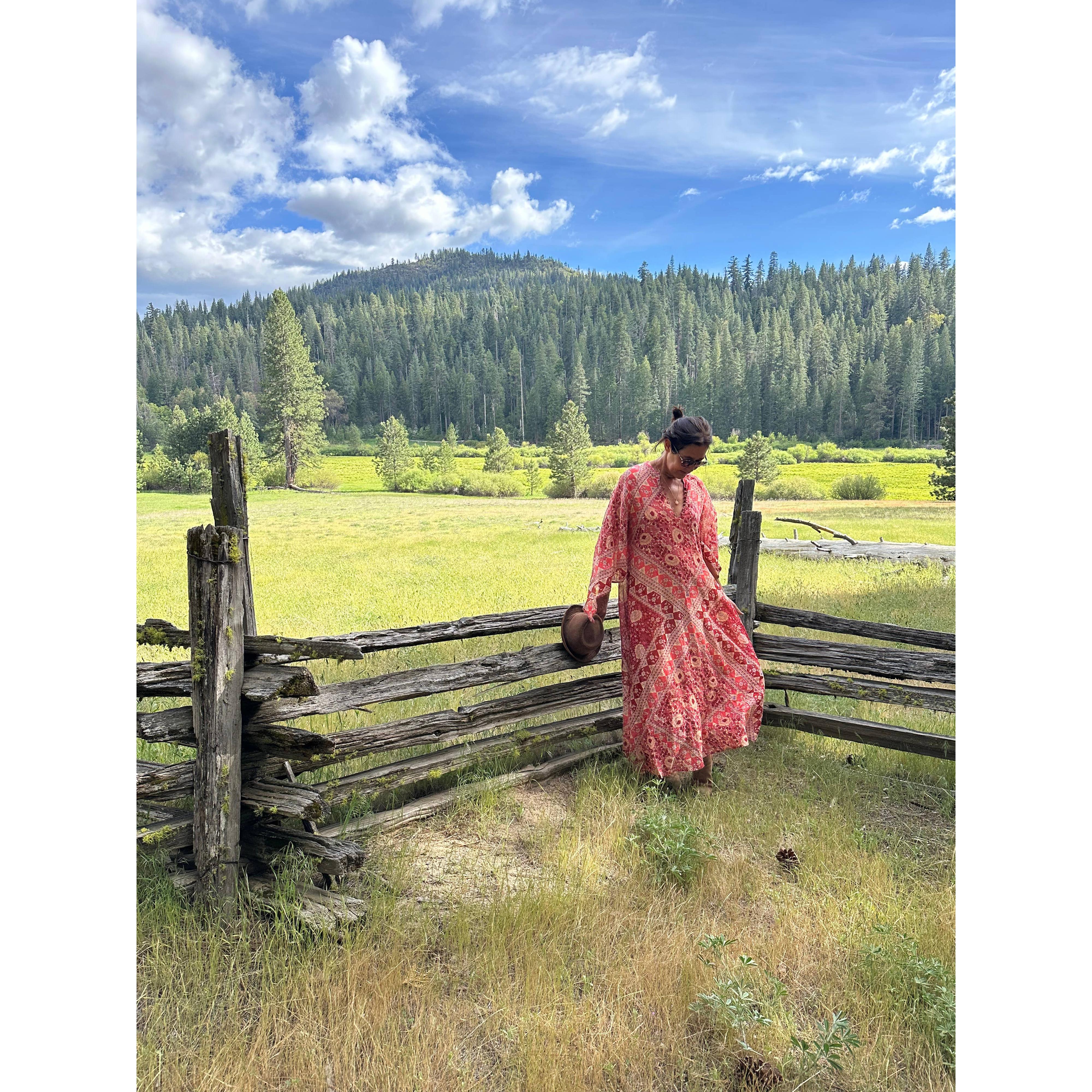 Audrey Printed Maxi Dress Butterfly Sleeves Red - Image 7